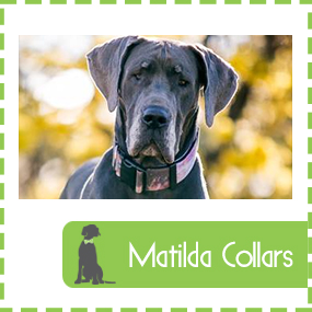 Matilda Collars