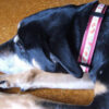 Christmas Boris - 002 - Image 2